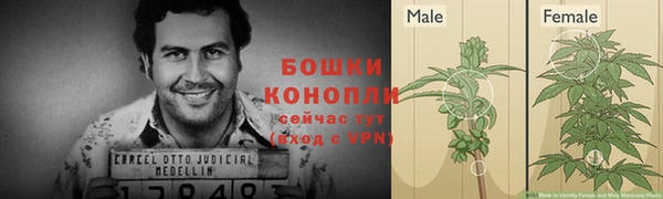 герыч Бородино